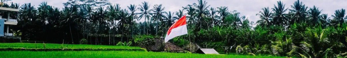 Expatriates - Expats Indonesia